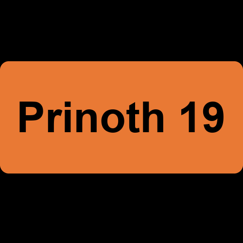 Prinoth 19